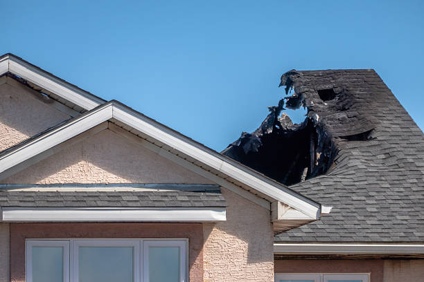 Top rated local Fire Damage Repair specialists in Clearwater, FL